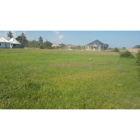 SQM 4650 PLOT FOR SALE - MBUTU MKWAJUNI -  KIGAMBONI