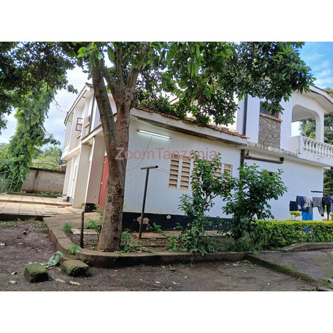 3BEDROOM HOUSE FOR RENT IN NJIRO-ARUSHA - 4/4