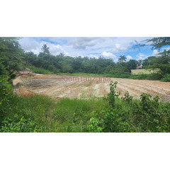 Kiwanja Surveyed Land For Sale at Salasala Kilimahewa Juu Kinondoni Municipality