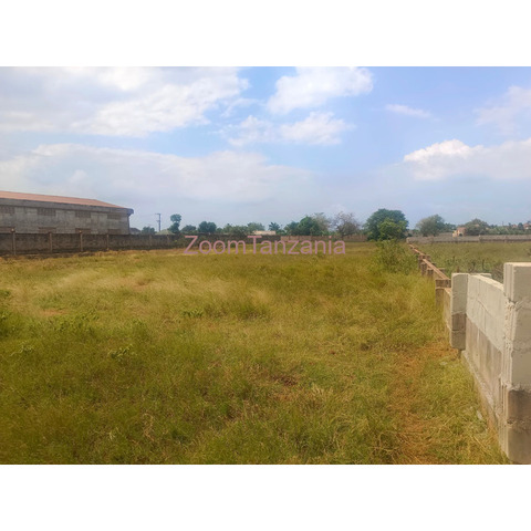 PLOT FOR SALE, IT'S LOCATED AT WAZO MASHAMBA YA JESHI - 2/4