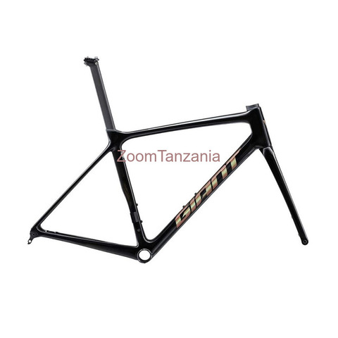 2024 Giant TCR Advanced Pro Disc Frameset (ALANBIKESHOP) - 2/2