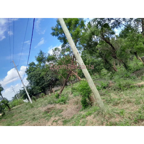 Plot for sale Goba Madale Road - 2/3