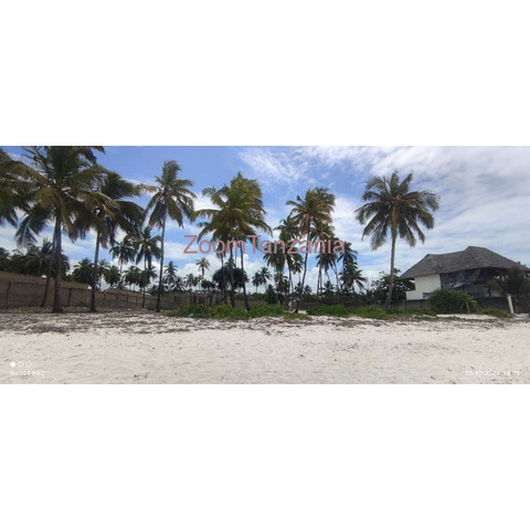 White sand beach plot for sale Matemwe Kilima juu Zanzibar - 1/4