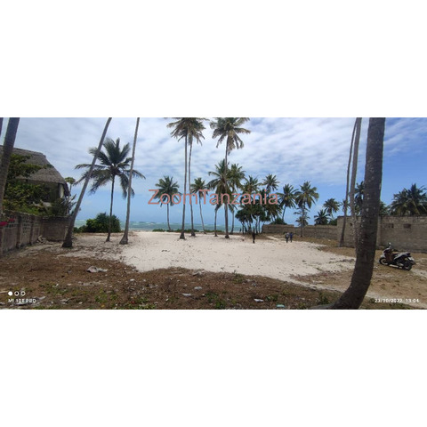 White sand beach plot for sale Matemwe Kilima juu Zanzibar - 2/4