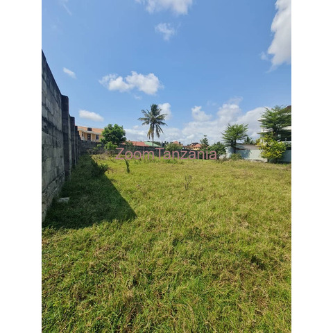 Plot for sale Bahari Beach tegeta, near Canosa hostel - 4/4