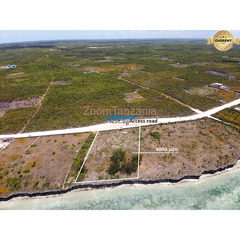 ZANZIBAR Beach Land For Sale in Makunduchi
