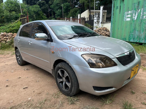 Toyota Runx - 3/6