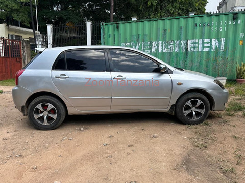 Toyota Runx - 6/6