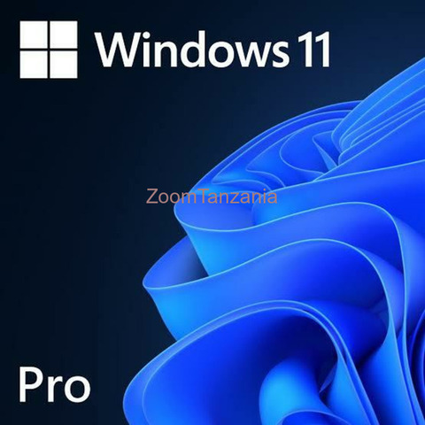 windows 11 pro