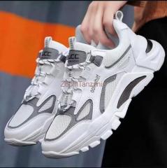 Sports Shoes Size 40