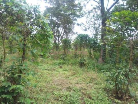 Land for sale in Arusha areas Burka, Matevesi, Karatu Tanzania - 1/3