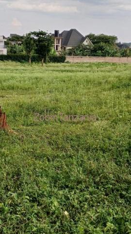 Land for sale in Arusha areas Burka, Matevesi, Karatu Tanzania - 3/3