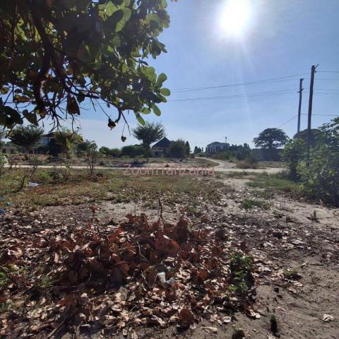 CORNER PLOT FOR SALE BUNJU BEACH MOGA - 1/6