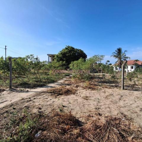 PLOT FOR SALE BUNJU BEACH MOGA - 6/6