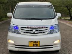 Alphard.      2006