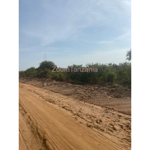 Land plots for sale! 1 Acre for Tsh 5,000,000 ! Fukayosi- Bagamoyo - 2/2