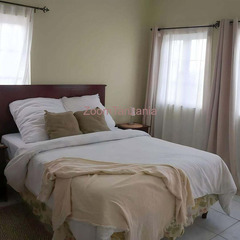 Standalone house