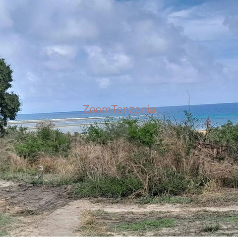 FIRST BEACH PLOT FOR SALE - 2/4
