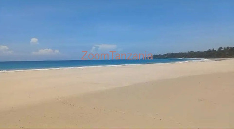 FIRST BEACH PLOT FOR SALE - 4/4