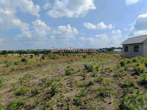 VIWANJA MPIJI STATION - 2/3