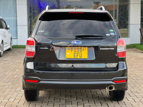 Subaru Forester new model - 4/6