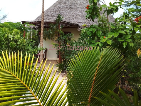 Long term rent at kizimkazi - 1/4