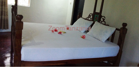 Long term rent at kizimkazi - 2/4