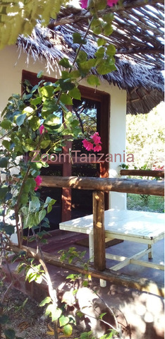 Long term rent at kizimkazi - 3/4