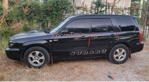 Subaru Forester 2004 - 4/6