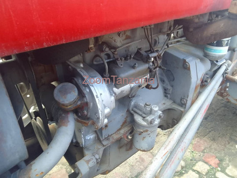 Massey Ferguson - 6/6