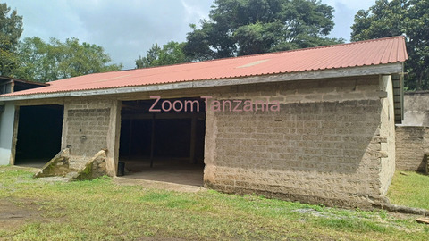 Arusha office rent for hunting safari, tour operator or any business, by real estate - 3/5