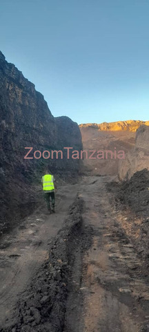 COAL PLOT AT RUVUMA - 2/3