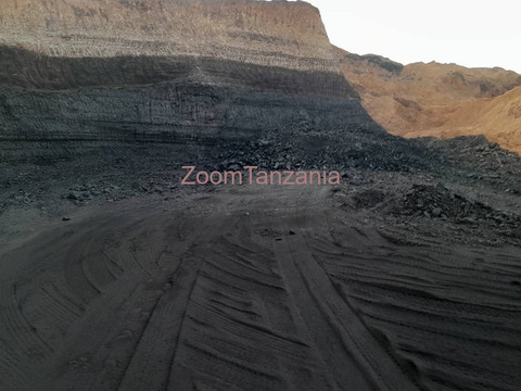 COAL PLOT AT RUVUMA - 3/3