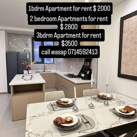 Brand New luxury apartments for sale/rent masaki - 6/6
