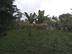 Eneo linauzwa mianzini Arusha 90m