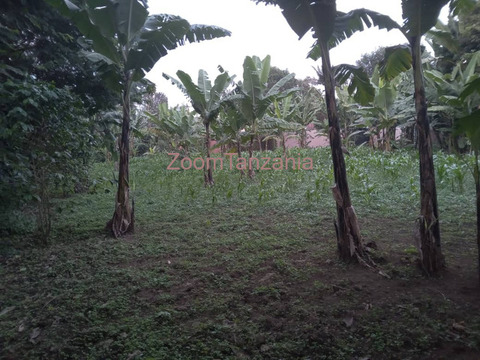 Eneo linauzwa mianzini Arusha 90m - 2/3