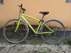 Bobcat 6-Gear Mountain Bike
