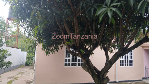 3BEDROOM COTTAGE HOUSE FOR RENT AT FIRE AREA,ARUSHA-TANZANIA - 3/6
