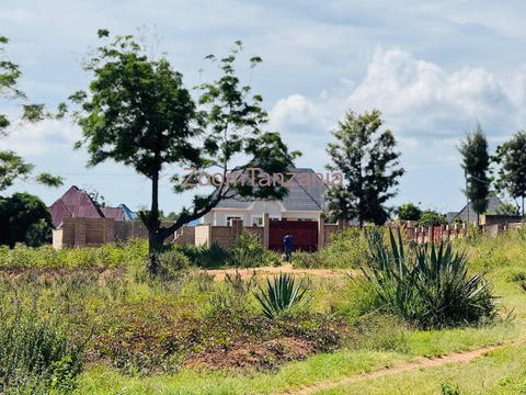 Plot for sale Mwanza - buswelu - 2/5