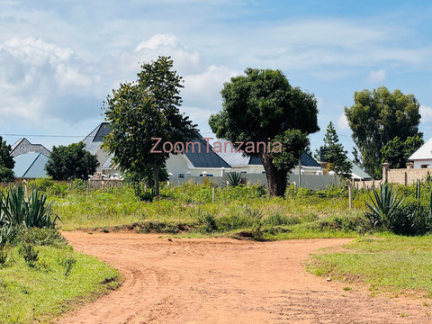 Plot for sale Mwanza - buswelu - 4/5