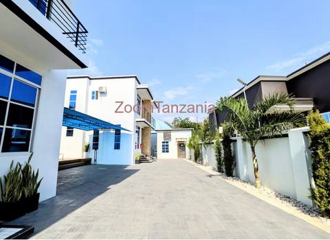 full furnished luxury apartment to rent - 1/6
