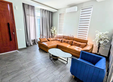 full furnished luxury apartment to rent - 2/6