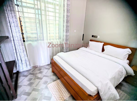 full furnished luxury apartment to rent - 3/6