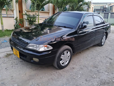 Carina Ti.         2002 - 5/6