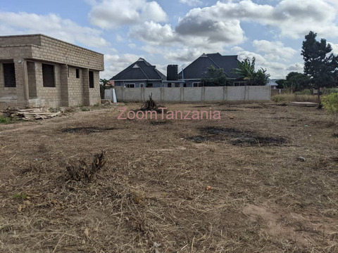 Kiwanja kinauzwa ilazo north block A - 1/3