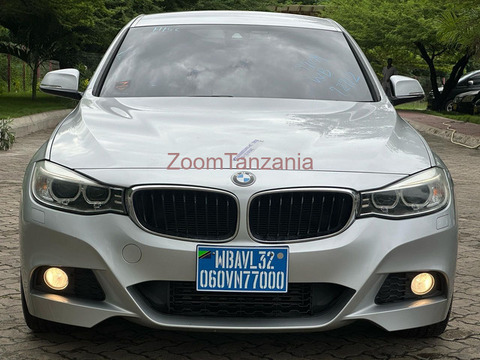 Bmw 3 series  2014 - 1/6