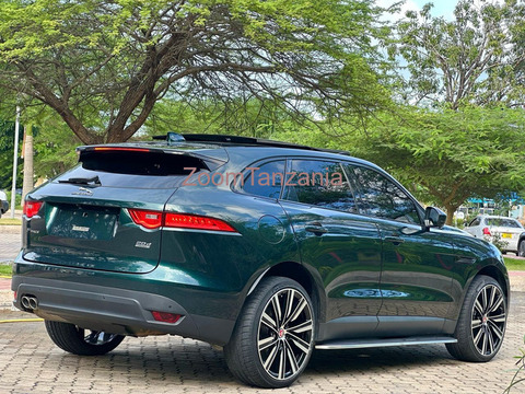 Jaguar - 2/6