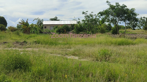 shamba la heka tano linauzwa lugeye - 3/5