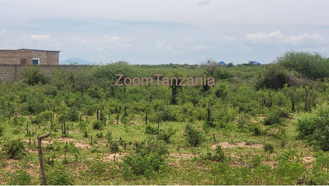 Kiwanja kinauzwa dodoma mjini - mtumba