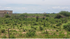 Kiwanja kinauzwa dodoma mjini - mtumba